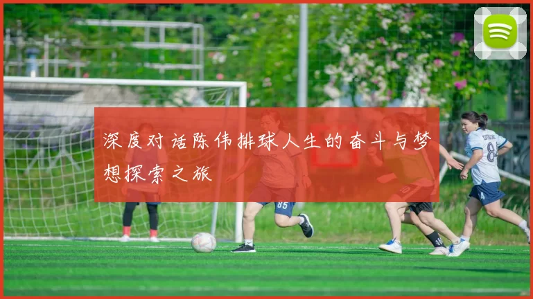 深度对话陈伟排球人生的奋斗与梦想探索之旅