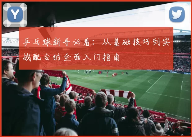 乒乓球新手必看：从基础技巧到实战配合的全面入门指南