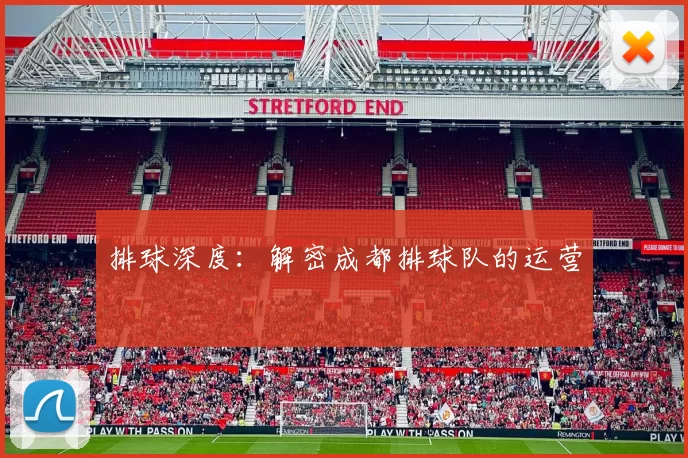 排球深度：解密成都排球队的运营