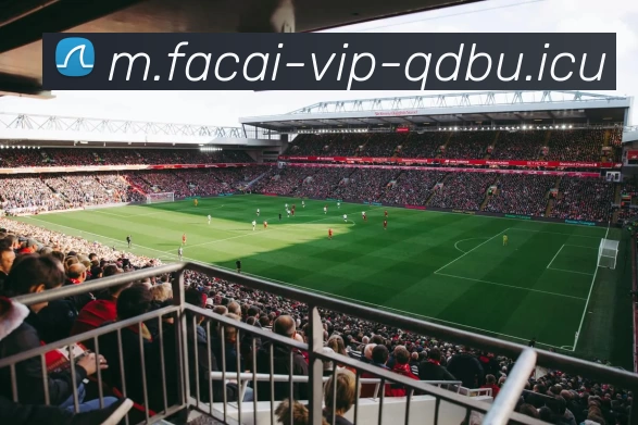 tag/[--tagid--].htmlAPP 封面图